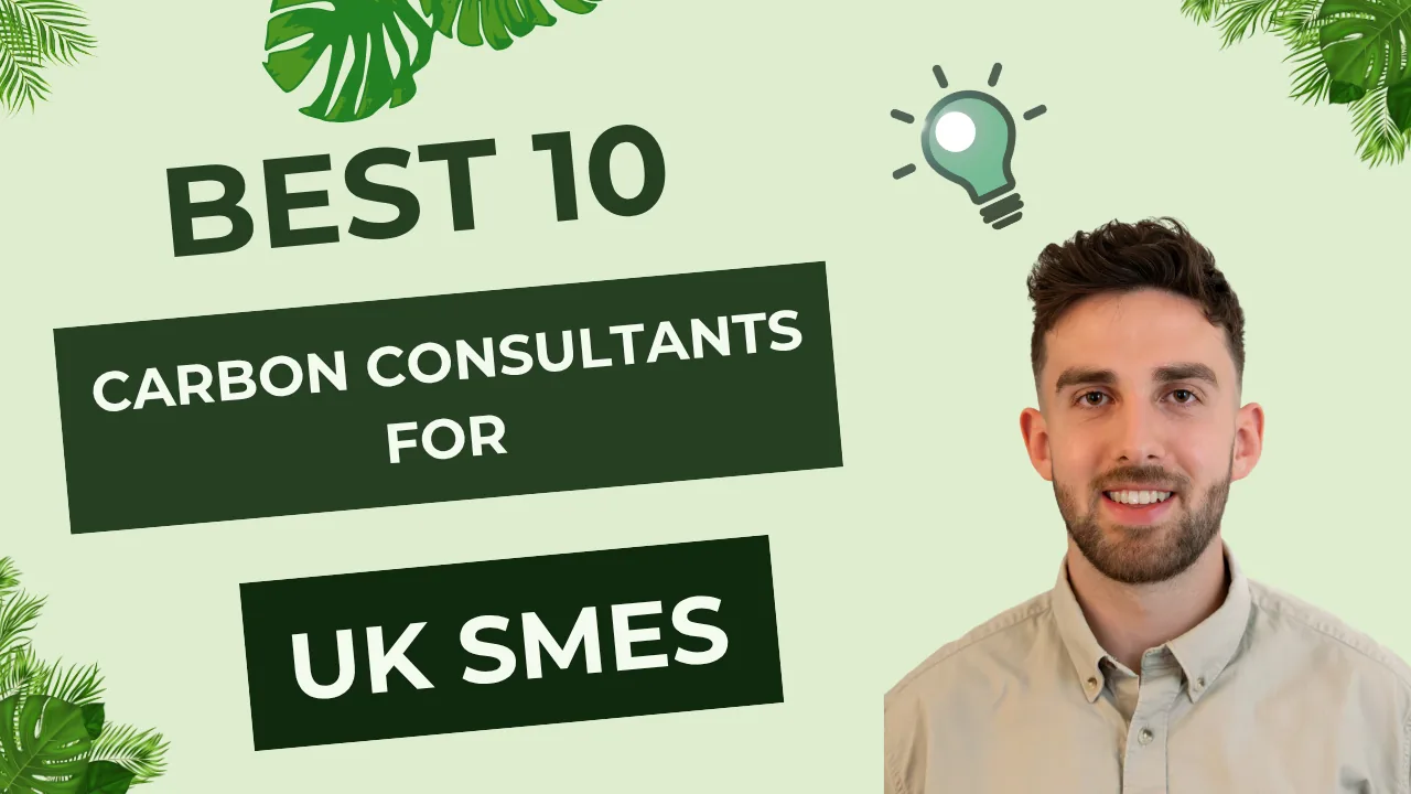 Best Carbon Consultants for UK Businesses (2026): 16 Firms Compared